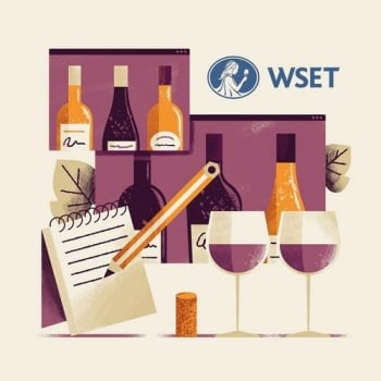 WSET Level I in Wines Tasting Sampler (Half Case)