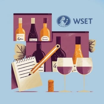 WSET Level 2 in Wines Tasting Sampler (12 bottles)