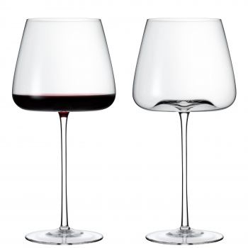 Fleur Handblown Pinot Noir Wine Glass (Set Of 2) by Wine Enthusiast
