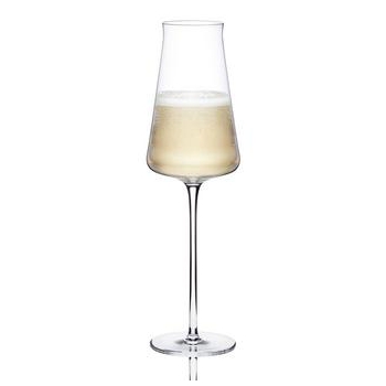 ZENOLOGY SOMM Champagne Glass (Set of 2)